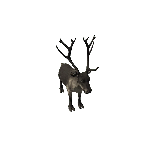 Reindeer_RM_FV_SHP (Fur1)